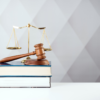 OBWIESZCZENIE MARSZAŁKA SEJMU RZECZYPOSPOLITEJ POLSKIEJ z dn. 9.06.2022 r. w sprawie ogłoszenia jednolitego tekstu ustawy o systemie informacji w ochronie zdrowia